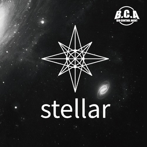 스텔라 액상 Stellar
